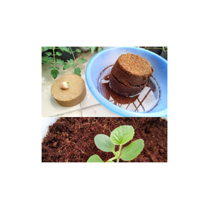 <strong>COCO</strong> PEAR BRICK 5KG SALE CHEAP PRICE - GARDEN COMPRESSED <strong>COCO</strong> <strong>PEAT</strong> <strong>BLOCK</strong> on SALE WHOLESALE <strong>SUPPLIER</strong> COCOPEAT - Product Image 6
