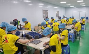 มีดโกนหนวดแบบใช้แล้วทิ้ง2สีมีด้ามจับยางสำหรับโกนหนวดและบิกินี่ - Product Image 4