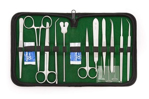 DR Instruments 10GSM Anatomie-Dissektion skit für Medizin studenten OEM-Design zu Fabrik preisen <span class=keywords><strong>Penis</strong></span> vergrößerung