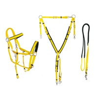 Ensemble complet de bride d'endurance de PVC