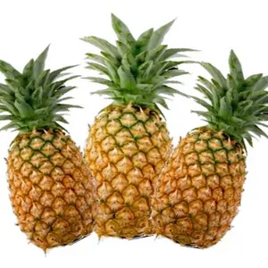 Fresh Mild Sweet Pineapple MD2 Honey Golden Pineapple From Vietnam