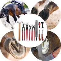 Kit de Herramientas Profesional Ariston para el Cuidado de Caballos y Ganado, Herramienta de Herrador, Alicates para Pezuñas, Cuchilla, Martillo, Pulidor, Acero Inoxidable