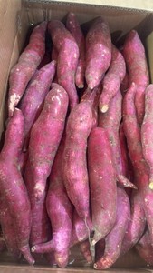 Puré de Camote Congelado e Ingrediente Ideal para Repostería, Postres y Bebidas - Product Image 6