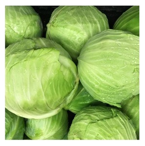 Chou vert frais à vendre - Product Image 3