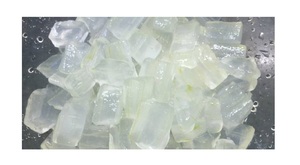Gelatina de Aloe Vera de Vietnam para pudín de gelatina y cuidado de la piel/Hojas frescas de Aloe Vera para beber y cubrir - Product Image 5