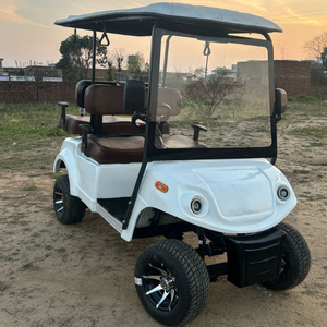 Every Ride4 Seater Golf Cart Electric Golf Cart Premium Golf <b>Buggy</b> - Product Image 5