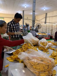 MANGO Seco sin azúcar de VIETNAM, precio muy bajo - Product Image 4