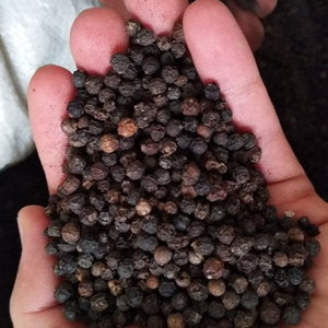 BLACK PEPPER Star Laboratories 10-25Kg par boîte Durée de conservation de 2 ans - Product Image 1