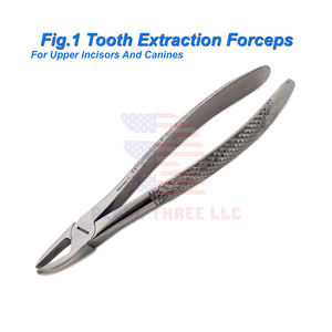 Herramientas de dentista para extracción de dientes superiores/inferiores Fórceps quirúrgicos dentales manuales Cuidado bucal - Product Image 2