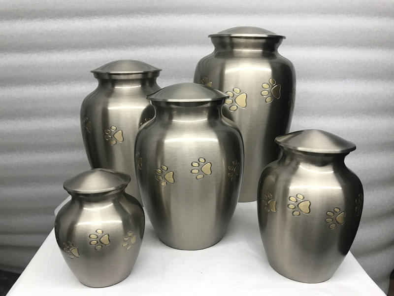 มีสีต่างกัน