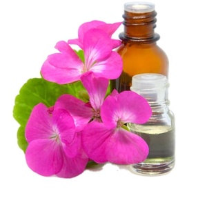 Aceite esencial de geranio puro paquete personalizado OEM al mejor precio aceite de geranio natural de alta calidad - Product Image 1