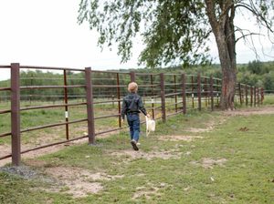 2024 venta 6 Bar 20ft Paneles de valla de ganado continuo - Product Image 4