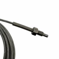 Capteur de température à résistance en platine industriel Pt100 WZPR1-T20FAB, câble de 5 m, filetage M8*1.25, IP65, IEC 60751 Classe B, RTD, OEM