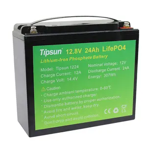 Rechargeable Lifepo4 12V 18Ah 24Ah 36Ah Lithium Battery Pack
