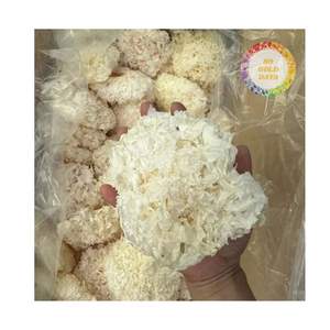 Tremella Fuciformis Natural, Hongo Blanco Seco, al por Mayor, Sazonado, de Cocción Instantánea, Origen Silvestre - Product Image 6