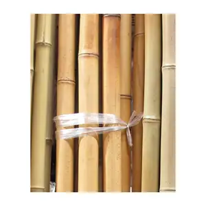 natural bamboo pole/cane/stick/stake-bamboo pole low tax