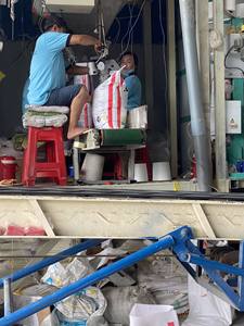 Haute qualité nouvelle culture Basmati Japonica Konjac rond séché long et court motif Calrose riz Texture douce moyen/Calrose - Product Image 4