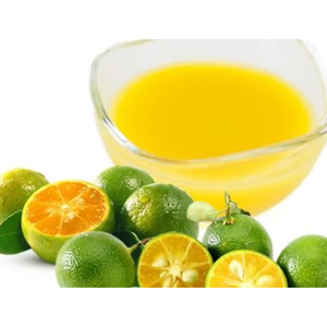 JUS CALAMANSI PUR CONGELÉ EN VRAC DE QUALITÉ CONFORME PRÊT À L'EMPLOI POUR LES BOISSONS - Product Image 1
