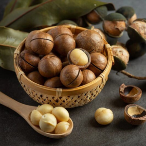 PRODUCTO PRINCIPAL | TUERCA DE MACADAMIA CON SAL MARINA LISTO DE VIET NAM - Product Image 5