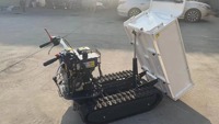 0.5T jardin mini dumper petit camion à benne basculante mini camion