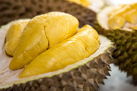 Hoge Kwaliteit Iqf Durian/Frozen Durian