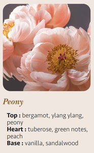 Vela Aromática de Peonía Hecha a Mano, Moderna y de Lujo, 25cl, con Logotipo Personalizado, Cera Mixta, Frasco de Vidrio Cilíndrico, 55 Horas de Duración - Product Image 5