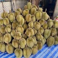 Calidad Premium Khey Taladthai Grade Monthong Durian 0,5 kg Recién cosechado Empaquetado para una frescura óptima Bursting Rich Durian - Product Image 3