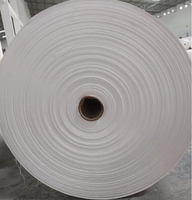 Rouleau de sac tissé en PP du fabricant Rouleau de bâche en plastique bonne flexibilité Rouleaux de tissu tissé en PP
