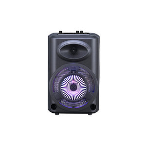 Reproductor de Karaoke Inalámbrico Estéreo con Bajos Potentes Netzy SAFG-D903 de 8 Pulgadas con Pantalla LED Digital, Radio FM, Micrófono, RGB, TWS - Product Image 3