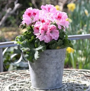 Meilleure vente jardinière en métal galvanisé forme ronde pour ferme jardin extérieur balcon décor jardinière de fleurs - Product Image 1