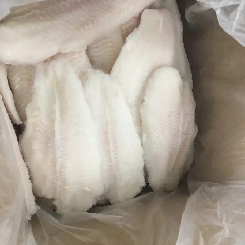 IQF BLOCK best quality frozen pangasius fish fillet