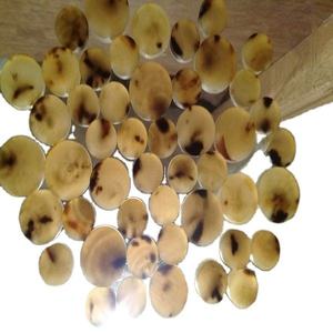 กระดุมควายวัววัววัวฮอร์นปุ่มเปล่าของแท้เทคนิคหมายเลขสี09/10ปุ่มฮอร์นจาก F S โมราสากล - Product Image 4