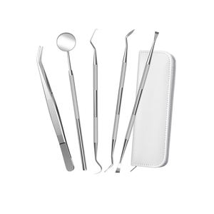 Ensemble d'instruments vétérinaires dentaires pour petits animaux avec boîte en aluminium Kit d'hôpital pour animaux ensemble dentaire instruments chirurgicaux - Product Image 2