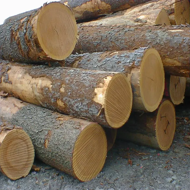 Acquista prezzo all'ingrosso di alta qualità in vendita tronchi di legno di quercia tronchi di legno di quercia