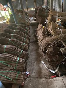 Balais de noix de coco fabriqués à partir de balai de noix de coco bâton balai durable outils de nettoyage abordables - Product Image 5