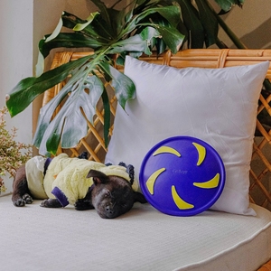 Disco volador de alta calidad de Vietnam para mascotas, juguetes interactivos flotantes de agua para jugar al aire libre, juego de césped, juguete de goma para perros - Product Image 6