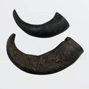 Corne de buffle naturelle pour chien, alternative sûre à mâcher pour les mâcheurs lourds - Product Image 4