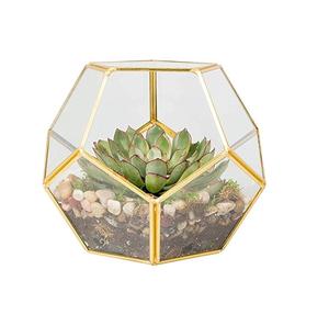 Metal & <b>Clear</b> Glass Tabletop Terrarium With Customized Finishing Hexagonal Shape Excellent Quality for Decoration . - Product Image 3