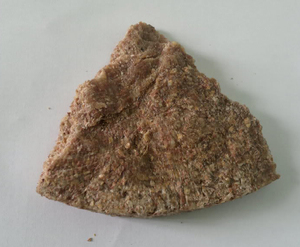 PASTEL DE ACEITE DE CACAHUETE/PASTEL DE ACEITE DE CACAHUETE-ALIMENTACIÓN ANIMAL de alta calidad y precio asequible - Product Image 5