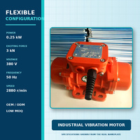 Schlüsselfertige Lösung Industrieller Vibrationsmotor für Komplette Vibrationsanlagen und Industrielle Projektanwendungen