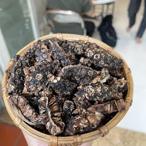 ผลไม้โนนิแบบแห้งผลไม้ระดับพรีเมียมผลไม้โนนิแบบแห้งส่งออกจากฟาร์มเวียดนาม - Product Image 3