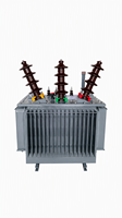 Transformateur de puissance immergé dans l'huile à faible perte 30kV/400V 100kVA 50Hz Dyn11