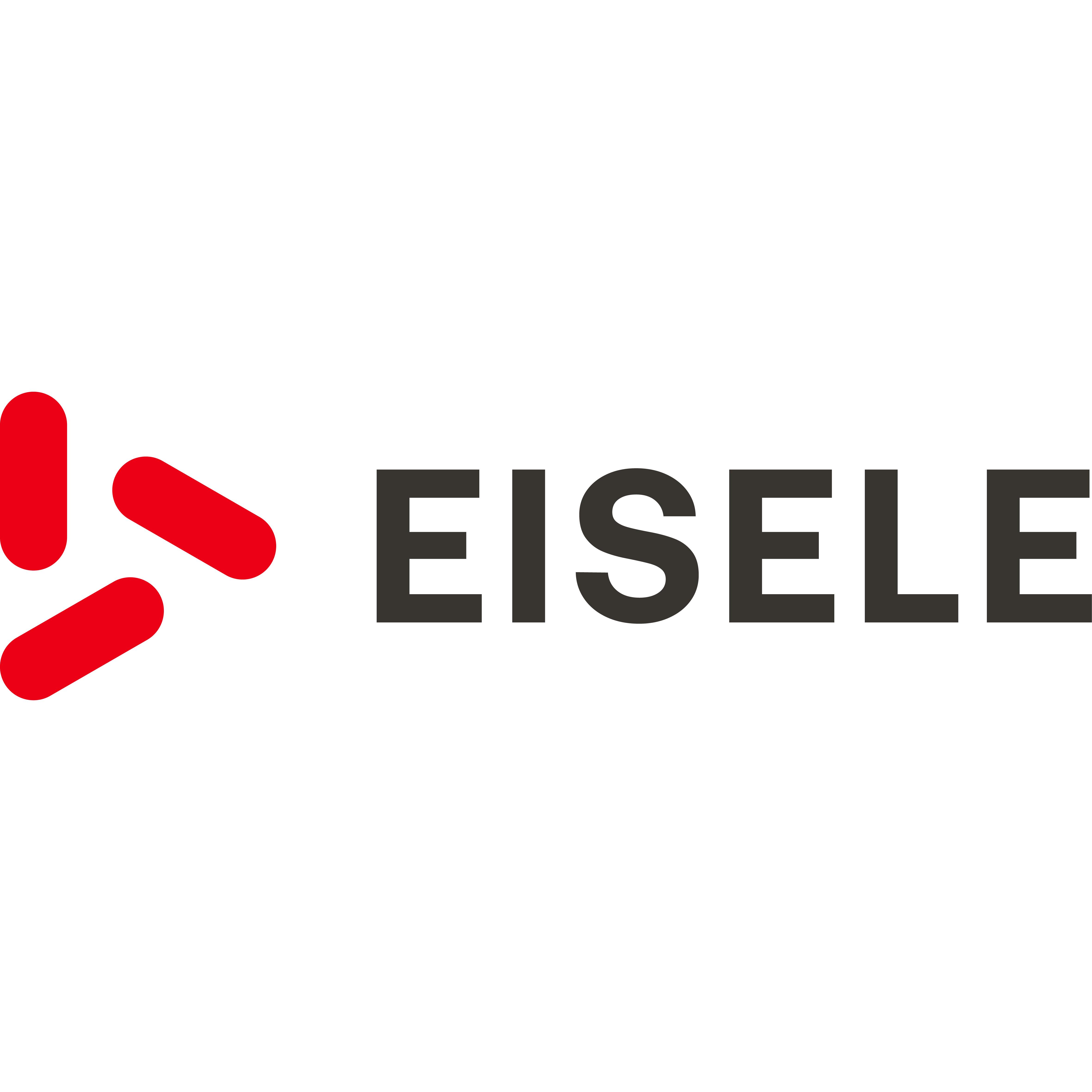 Franz Eisele u. Söhne GmbH & Co. KG logo