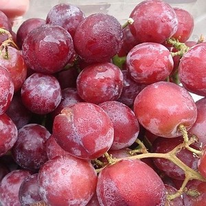 Tốt Nhất Bán Bán Buôn Hữu Cơ Crimson Không Hạt Nho Cao Cấp Tươi 100% Trái Cây Tự Nhiên Cung Cấp Số Lượng Lớn - Product Image 1