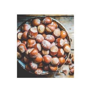 Noisettes biologiques séchées crues au goût naturel BON MARCHÉ DE HAUTE QUALITÉ/Noyau de noisette - Product Image 5