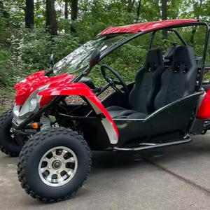 Prêt pour la livraison, buggy des dunes 300cc pour 2 personnes - Product Image 1