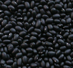Haricots noirs riches en protéines de haute qualité en gros à bas prix - Product Image 4