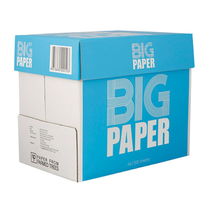 Papel de copia A4 Premium, hojas blancas brillantes para impresión fiable, copia y aplicaciones diarias de oficina. - Product Image 1