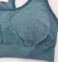 Soutien-gorge de sport sans couture, léger, respirant, écologique, de qualité supérieure, pour le fitness, la course à pied, le yoga, grandes tailles, flexible, rembourré, dos nu