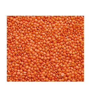 Lentilles rouges et vertes biologiques à vendre, lentilles rouges et vertes de haute qualité, disponibles en vrac, exportation mondiale - Product Image 2